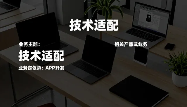 系统兼容性在技术咨询中的实际应用场景分析